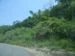 2012-09-08_18-24-01_RIMG0065.JPG