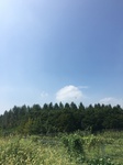 2017-09-12_13-50-15_EEA5E232-16E3-43E5-B57E-3238D5788556.jpg