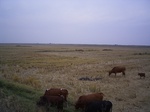 3311R0017345.JPG