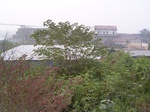 2938 042.jpg