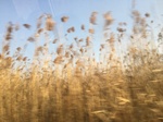 2018-01-08_09-59-18_934F7FC3-A92F-4DDD-8C91-9FF71EB47F7E.jpg