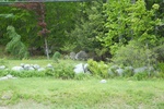 2017-06-05_14-50-16_NORTH 5.29.17.jpg