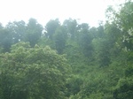 2012-09-08_19-26-15_RIMG0131.JPG