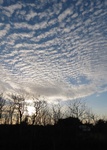 2017-11-27_17-25-56_5479_main_altocumulus-stratiformus-translucidus_clouds.jpg