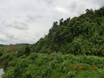 2012-09-26_20-49-16_CIMG0979.JPG