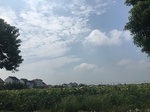 2017-09-12_13-31-11_A036C429-EC2A-4661-8E71-CE9FCFCD8CE1.jpg