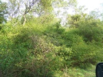 17602100_2539.JPG