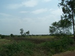 488302052008(77).JPG