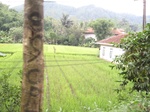 15306IMG_4143.JPG