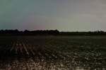 2022-06-11_18-08-19_E79E1412-037B-4CB0-8E81-87C50058982A_1_201_a.jpeg