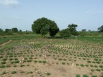 18885P1000727.JPG