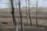 2017-05-12_17-15-09_2017-05-05 00.30.29.jpg