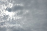 2020-08-04_13-39-00_2020-8-4-13-36-2.jpg