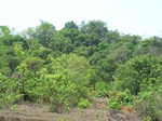 501320042008(36).JPG