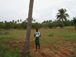 6270048d-irrigated-classic-supplemental-groundwater-sugarcane-dominant-cotton-groundnut-coconut-doublecrop.jpg