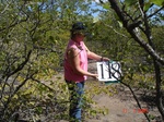 10912gt-118-wetland-dry-short-shrubs-grasses-02.jpg