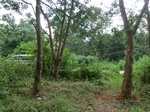 2012-09-26_20-48-06_CIMG1109.JPG