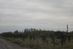 2019-10-16_11-58-29_4E8A3978.JPG