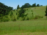 2017-05-28_13-44-35_2017-05-28_Erratic_RockW.JPG