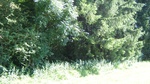 2016-07-25_03-26-57_DSCF1634.JPG