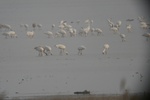 4228IMG_8867.JPG