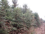 8490IMG_0315.JPG