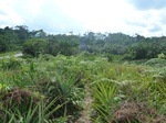 20165P1020017.JPG