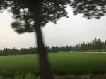 2017-09-12_03-36-14_0AAC4E24-CA62-46C2-9B30-3684A153F0CD.jpg