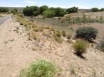 2017-05-30_00-21-18_2017-05-29 15.03.10.jpg