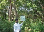 7757gt017c-forests-mature-sec.jpg