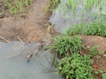 2012-09-07_10-00-16_CIMG6610.JPG