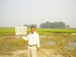6735gt173-cropland-1.jpg