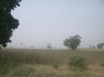 9161RIMG0242.JPG