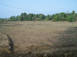 498920042008(001).JPG