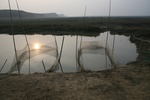 4275IMG_8916.JPG