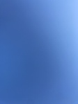 2020-08-11_17-39-49_2020-8-11-17-39-5.jpg