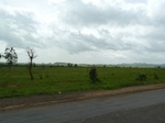 18842P1000682.JPG