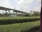 39906CIMG1794.JPG