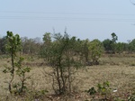 475301052008(2).JPG