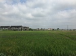 2017-09-12_12-55-14_39DBEF61-2846-4583-968C-5F157BB16F75.jpg