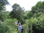 834358-forest-dry-mudunagal-sanctuary-a.jpg