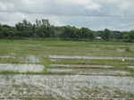21299DSC00680.JPG