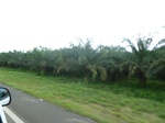 20459P1020316.JPG