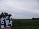 830142-wetland-permanant-thaipagrass-b.jpg