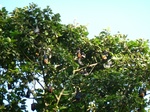 2012-10-17_20-32-17_391.JPG