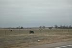 2018-04-30_12-29-05_2017-12-28 12.02.55.jpg