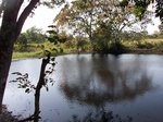 5850100_1515.JPG