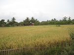 14420IMG_4768.JPG