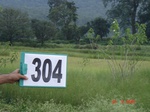 74050304c-irrigated-supplemental-tank-rice-doublecrop-wheat.jpg