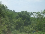 2012-09-08_20-00-56_RIMG0097.JPG